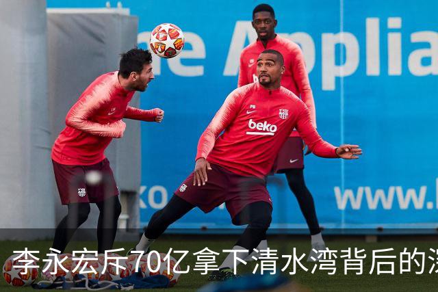 李永宏斥70亿拿下清水湾背后的深意与布局